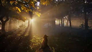Скриншот 2 к игре Adorable Adventures