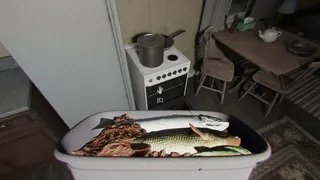 Скриншот 4 к игре Face of Fear: The Forester