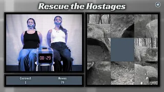 Скриншот 6 к игре Rescue the Hostages: Misaligned Fate