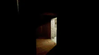 Скриншот 8 к игре The Guest from the Fields