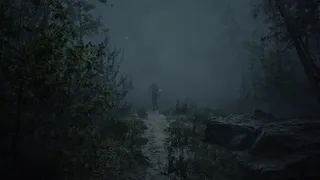 Скриншот 5 к игре Whispers in the fog