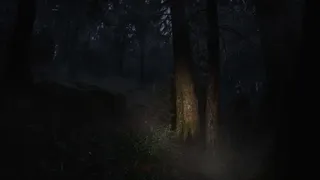 Скриншот 8 к игре Whispers in the fog