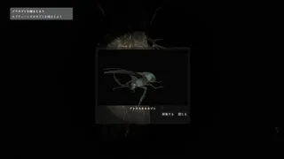 Скриншот 5 к игре カブトムシの森