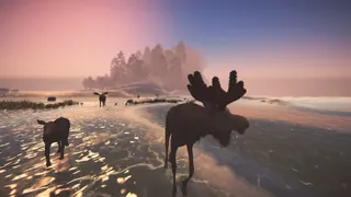 Скриншот 4 к игре Moose Migration