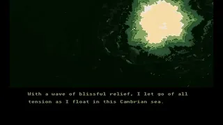 Скриншот 1 к игре CITADEL