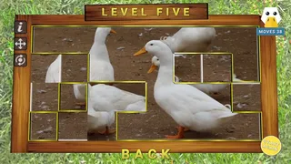 Скриншот 6 к игре Vizzle