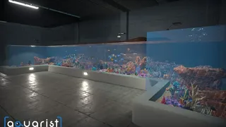 Скриншот 8 к игре Aquarist - стройте аквариумы, разводите рыбу, развивайте свой бизнес.