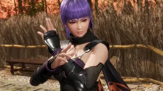 Скриншот 3 к игре DEAD OR ALIVE 6 Last Round