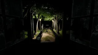 Скриншот 4 к игре DARK IN LIGHT