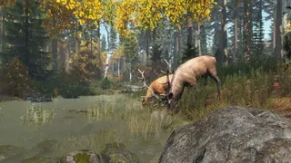 Скриншот 10 к игре DayZ