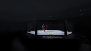 Скриншот 6 к игре MMA Career Simulator