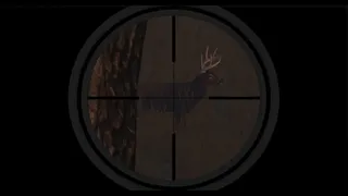 Скриншот 5 к игре Deer Hunting - The Season 2