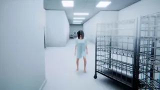 Скриншот 1 к игре crazy woman