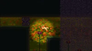 Скриншот 6 к игре Pumpkin & Patch