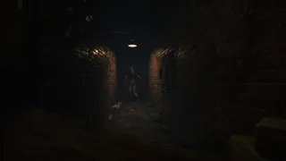 Скриншот 8 к игре Calvar - The Darkest Gate