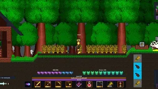 Скриншот 7 к игре Chaos of the Realms