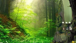 Скриншот 1 к игре Fantasy Bird Woods