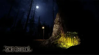 Скриншот 2 к игре SMS Returns