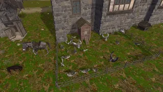 Скриншот 6 к игре The Medieval Doctor