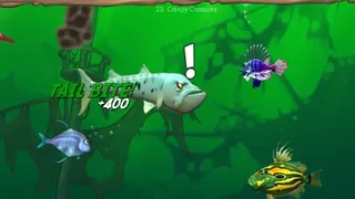 Скриншот 4 к игре Feeding Frenzy 2 Deluxe