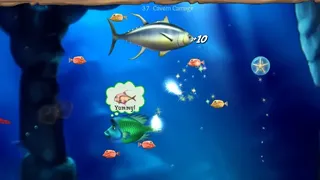 Скриншот 5 к игре Feeding Frenzy 2 Deluxe