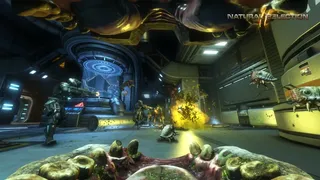 Скриншот 4 к игре Natural Selection 2