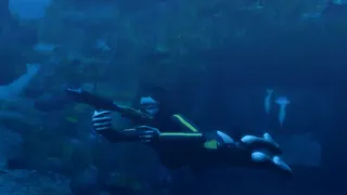 Скриншот 1 к игре Tomb Raider: Underworld