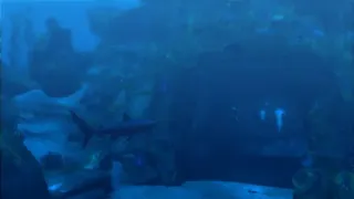 Скриншот 3 к игре Tomb Raider: Underworld