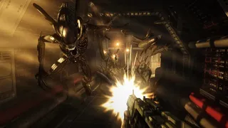 Скриншот 3 к игре Aliens vs. Predator