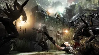 Скриншот 5 к игре Aliens vs. Predator