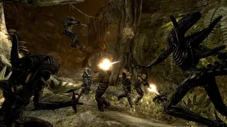 Скриншот 8 к игре Aliens vs. Predator
