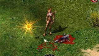 Скриншот 1 к игре Sacred Gold