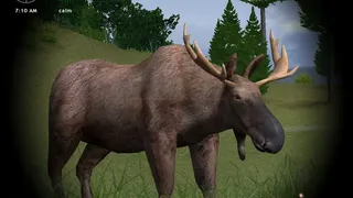Скриншот 5 к игре Hunting Unlimited 2010