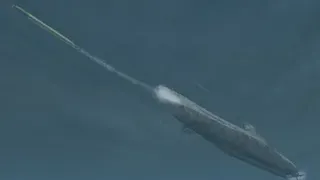 Скриншот 4 к игре Silent Hunter III