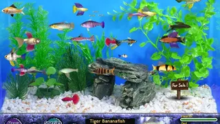 Скриншот 4 к игре Fish Tycoon