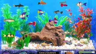Скриншот 5 к игре Fish Tycoon