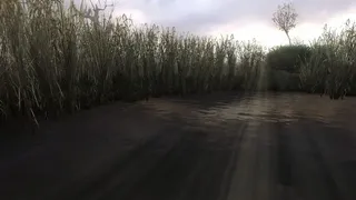 Скриншот 7 к игре S.T.A.L.K.E.R.: Clear Sky