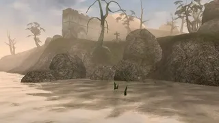 Скриншот 3 к игре The Elder Scrolls III: Morrowind Game of the Year Edition