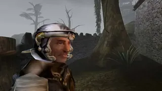 Скриншот 8 к игре The Elder Scrolls III: Morrowind Game of the Year Edition