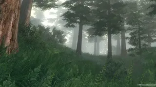 Скриншот 1 к игре The Elder Scrolls IV: Oblivion Game of the Year Edition (2009)