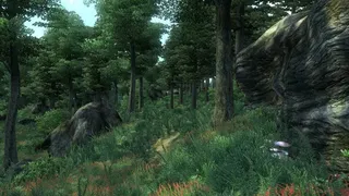 Скриншот 2 к игре The Elder Scrolls IV: Oblivion Game of the Year Edition (2009)