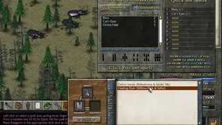 Скриншот 1 к игре Eschalon: Book 2