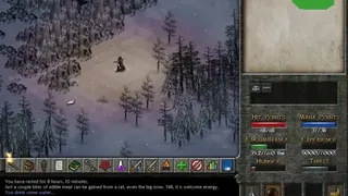 Скриншот 2 к игре Eschalon: Book 2