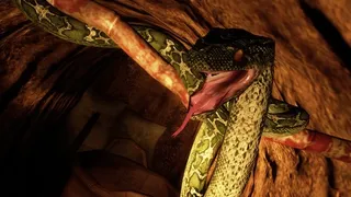 Скриншот 3 к игре Tunnel Rats 1968