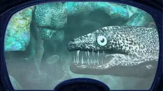 Скриншот 3 к игре Nancy Drew: The Creature of Kapu Cave