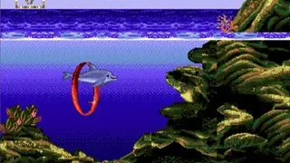 Скриншот 4 к игре Ecco Jr.