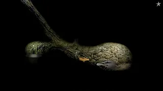 Скриншот 2 к игре Samorost 2