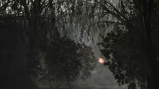 Скриншот 7 к игре Scratches - Director's Cut