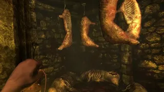 Скриншот 2 к игре Amnesia: The Dark Descent