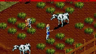 Скриншот 4 к игре Light Crusader